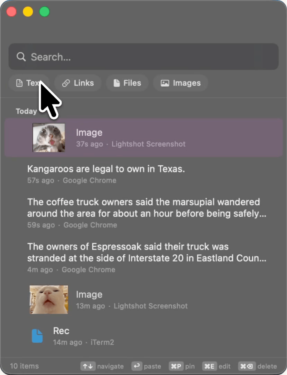 alt text